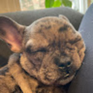 Meet your Posher, Ellen